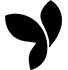 Yii2
