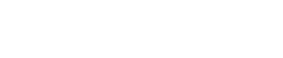 Stripe Partner