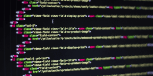 web development